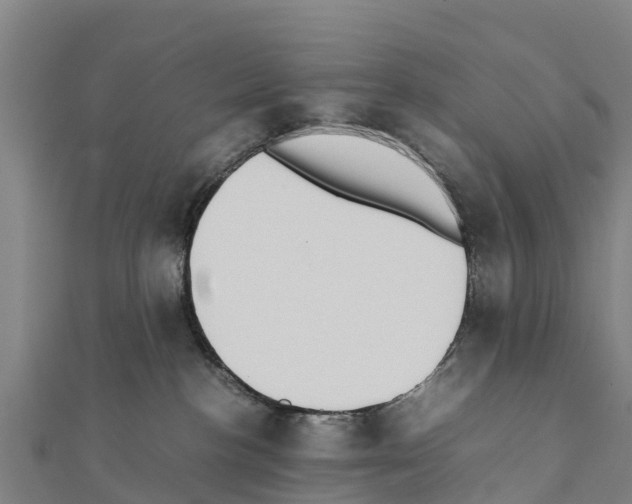 X0000111390188200908211410