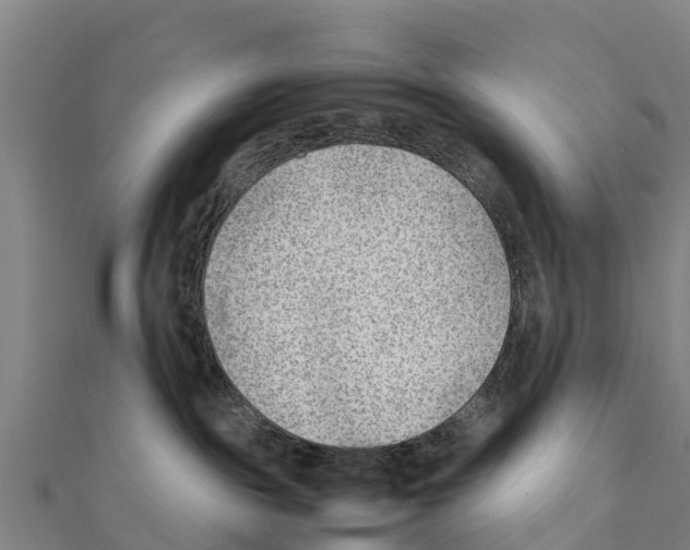 X0000111390189200908211410