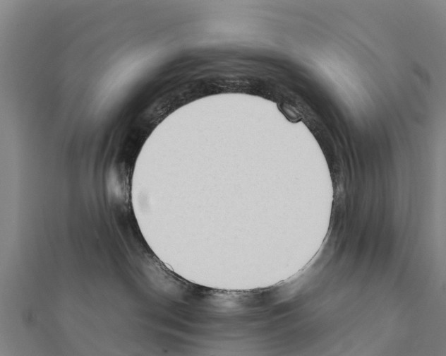 X0000111390190200908211410
