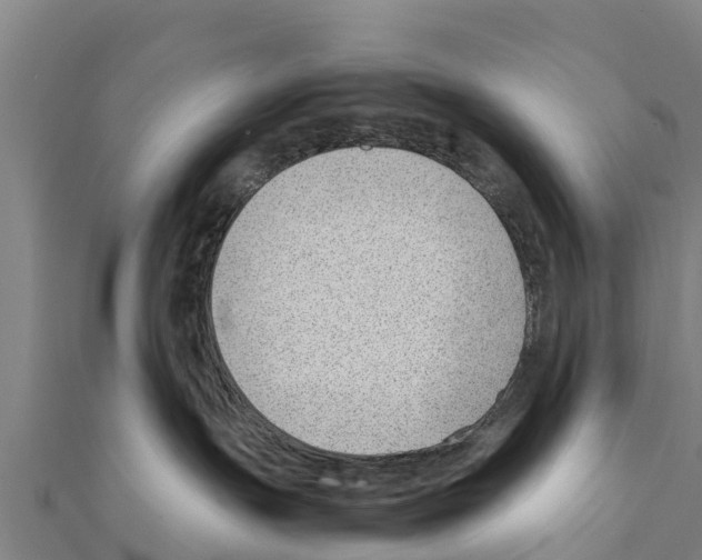 X0000111390191200908211410