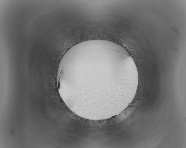 X0000111390192200908211410