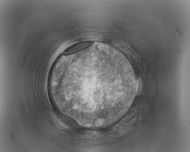 X0000111390195200908211409