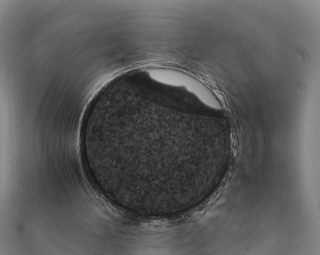X0000111390196200908211409