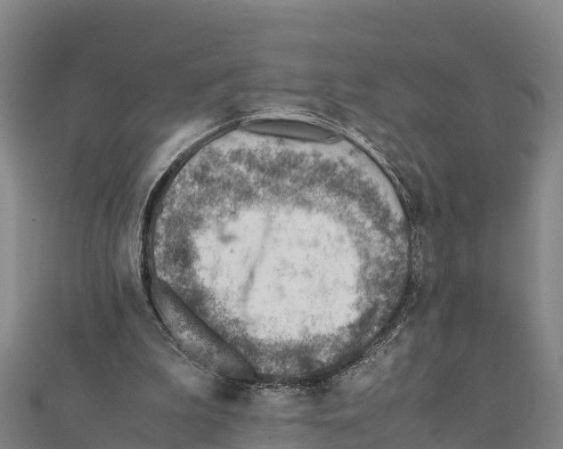 X0000111390199200908211409