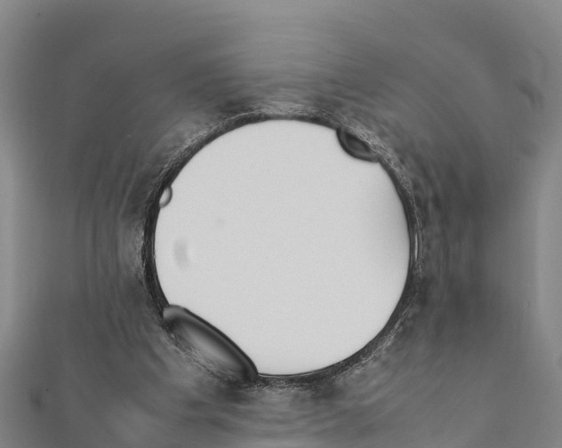 X0000111390201200908211409