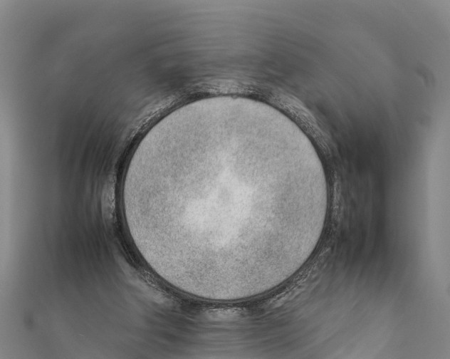 X0000111390202200908211409