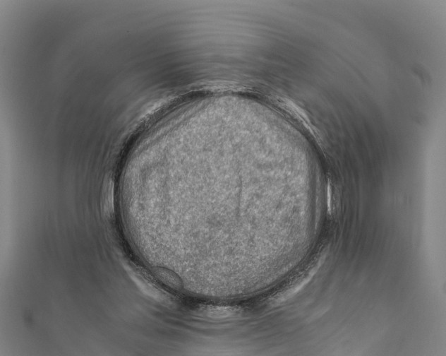 X0000111390205200908211409
