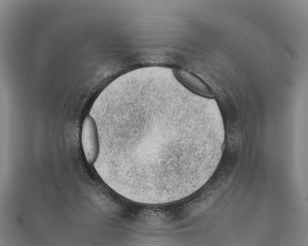 X0000111390207200908211409
