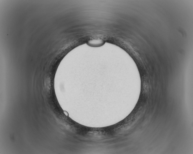 X0000111390211200908211409