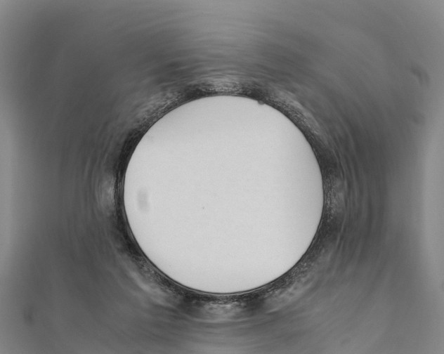 X0000111390213200908211409