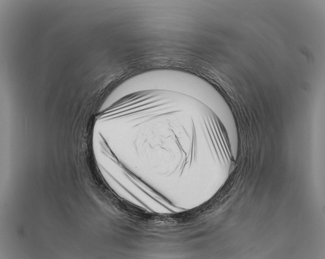 X0000111390215200908211409