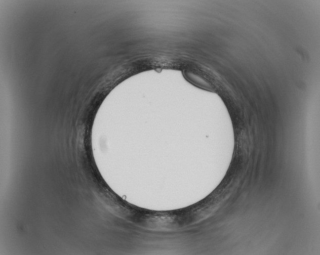 X0000111390217200908211409