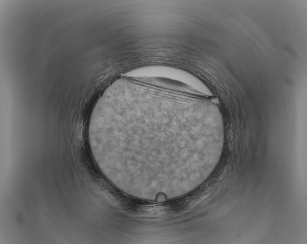 X0000111390219200908211409