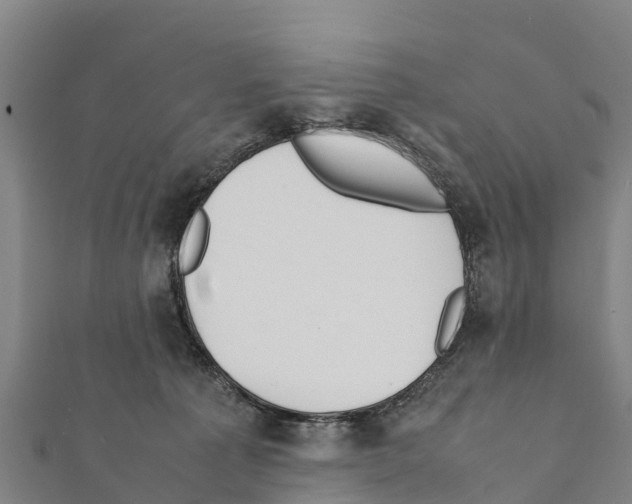 X0000111390225200908211409