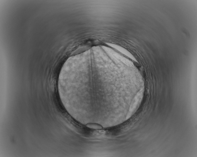X0000111390227200908211409