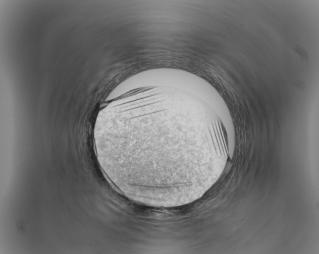 X0000111390229200908211409