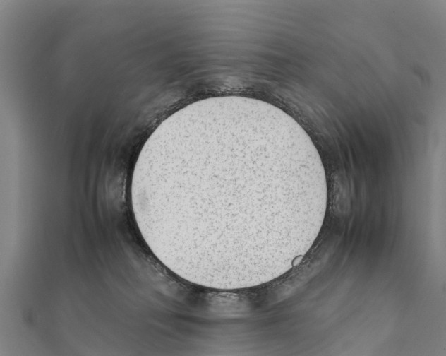 X0000111390230200908211409