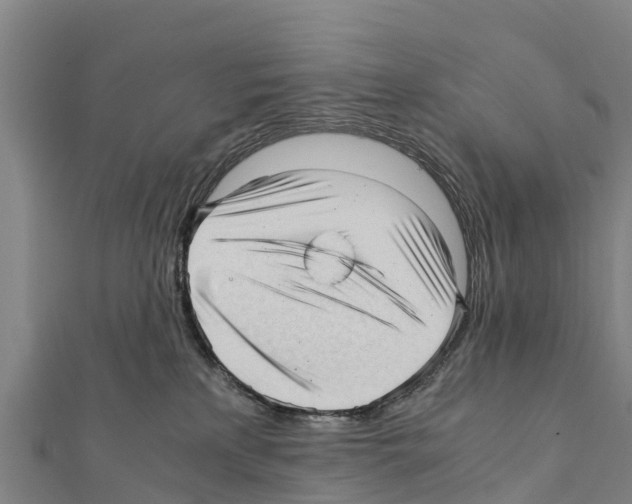 X0000111390233200908211409