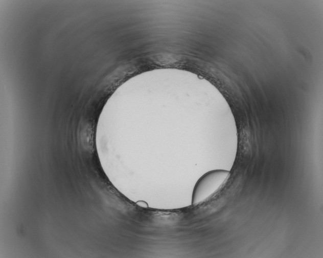 X0000111390234200908211408