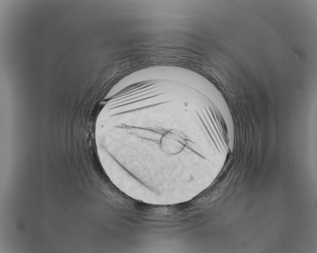 X0000111390237200908211408