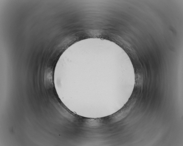 X0000111390238200908211408