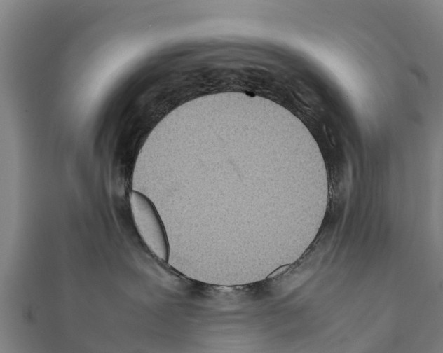X0000111390239200908211408