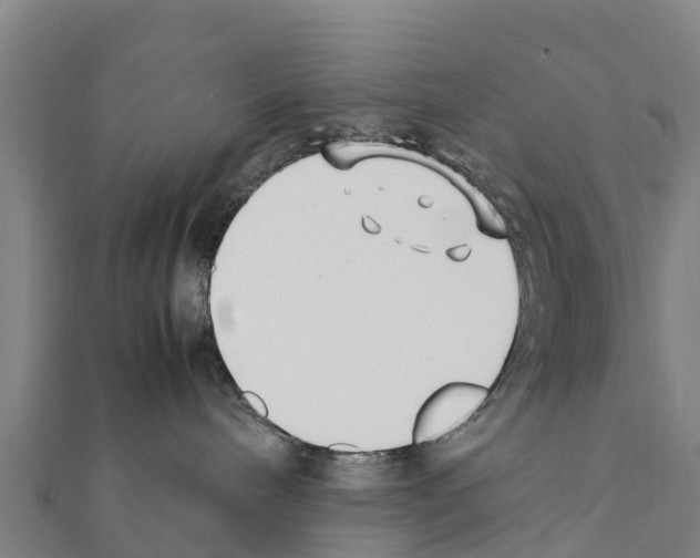 X0000111390240200908211408