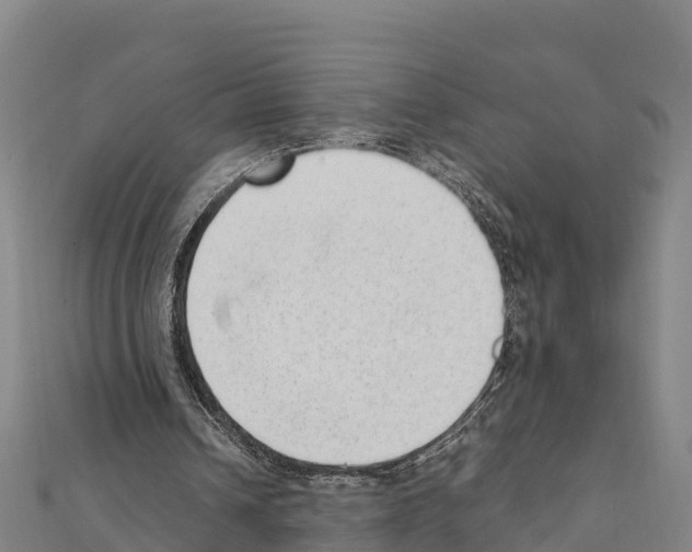 X0000111390242200908211408