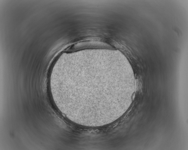 X0000111390243200908211408