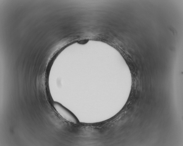 X0000111390244200908211408