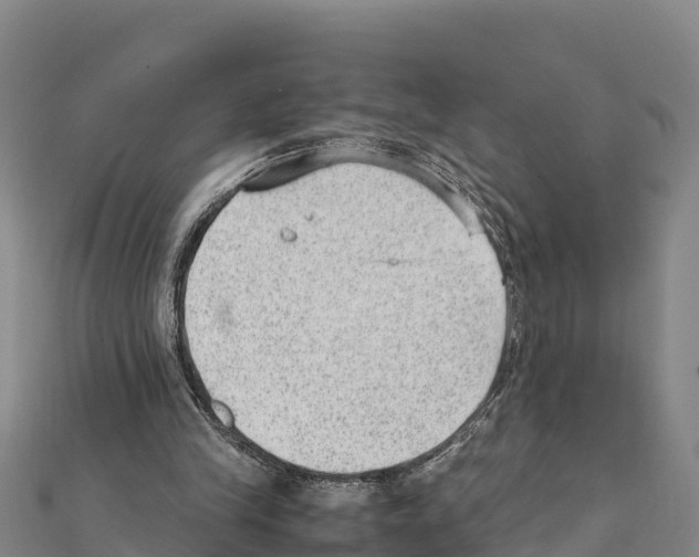X0000111390245200908211408