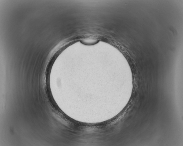 X0000111390246200908211408