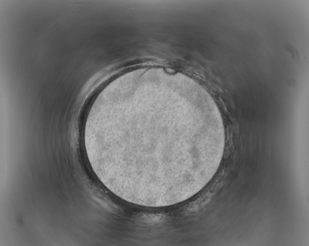 X0000111390247200908211408