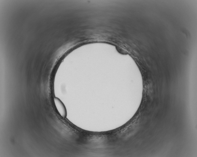 X0000111390248200908211408