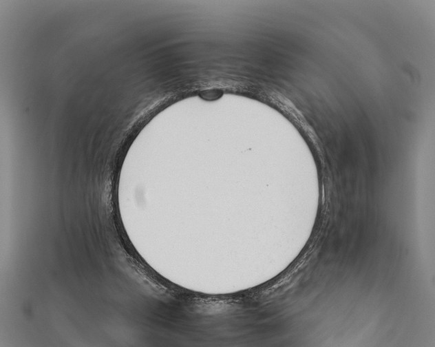 X0000111390249200908211408