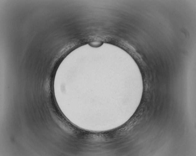 X0000111390250200908211408