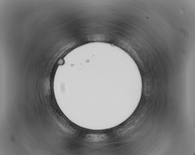 X0000111390251200908211408