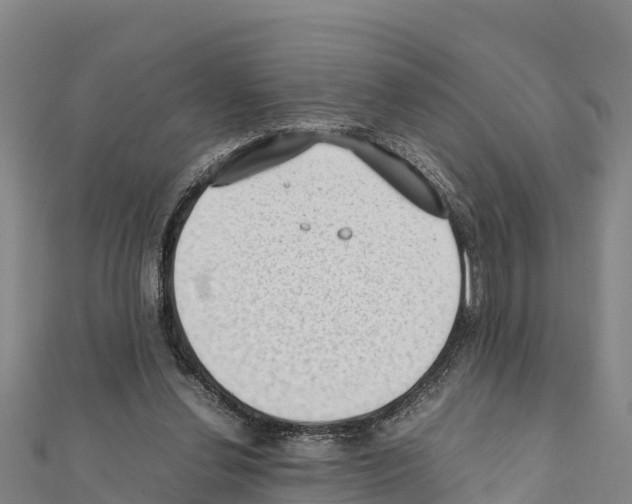 X0000111390252200908211408