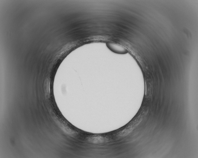 X0000111390253200908211408