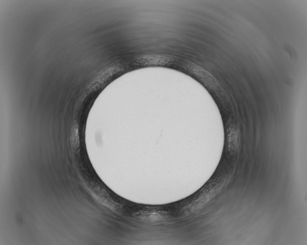X0000111390254200908211408