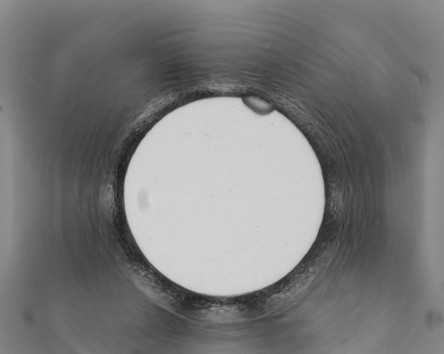 X0000111390256200908211408