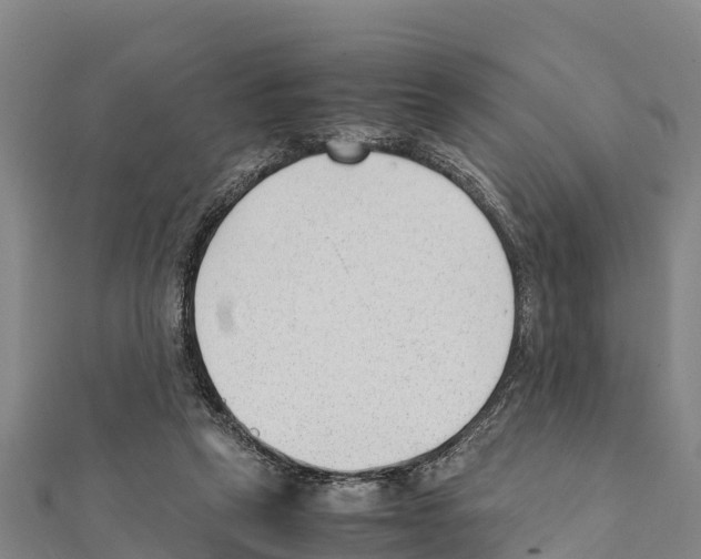 X0000111390257200908211408