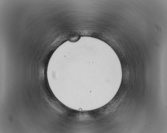 X0000111390262200908211408