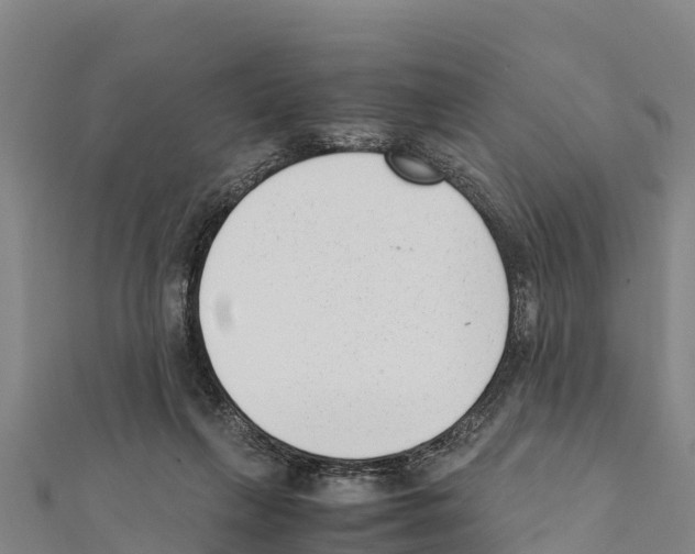 X0000111390263200908211408