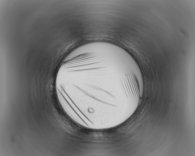 X0000111390264200908211408