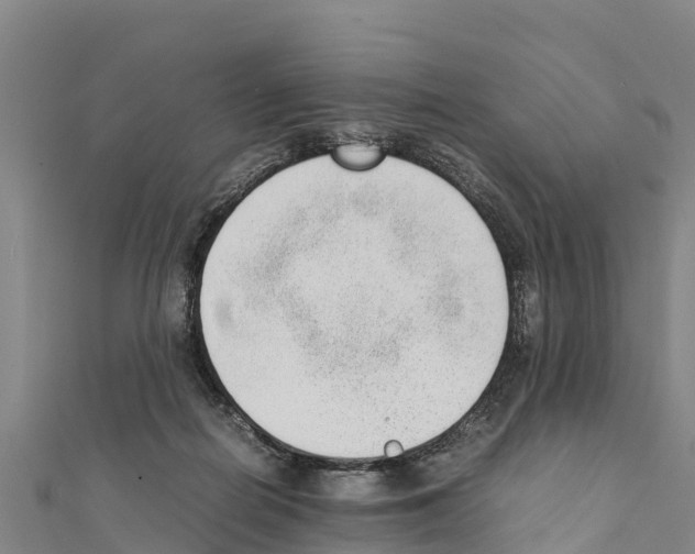X0000111390266200908211408
