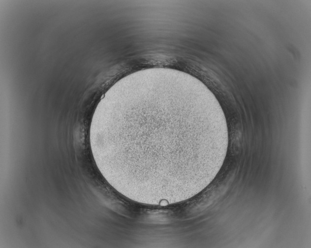 X0000111390268200908211408