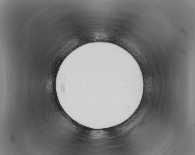 X0000111390269200908211408