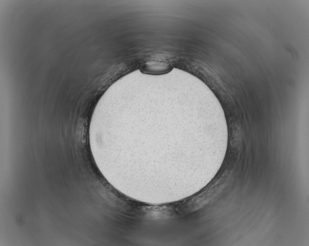 X0000111390273200908211408