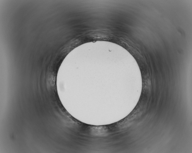 X0000111390281200908211408